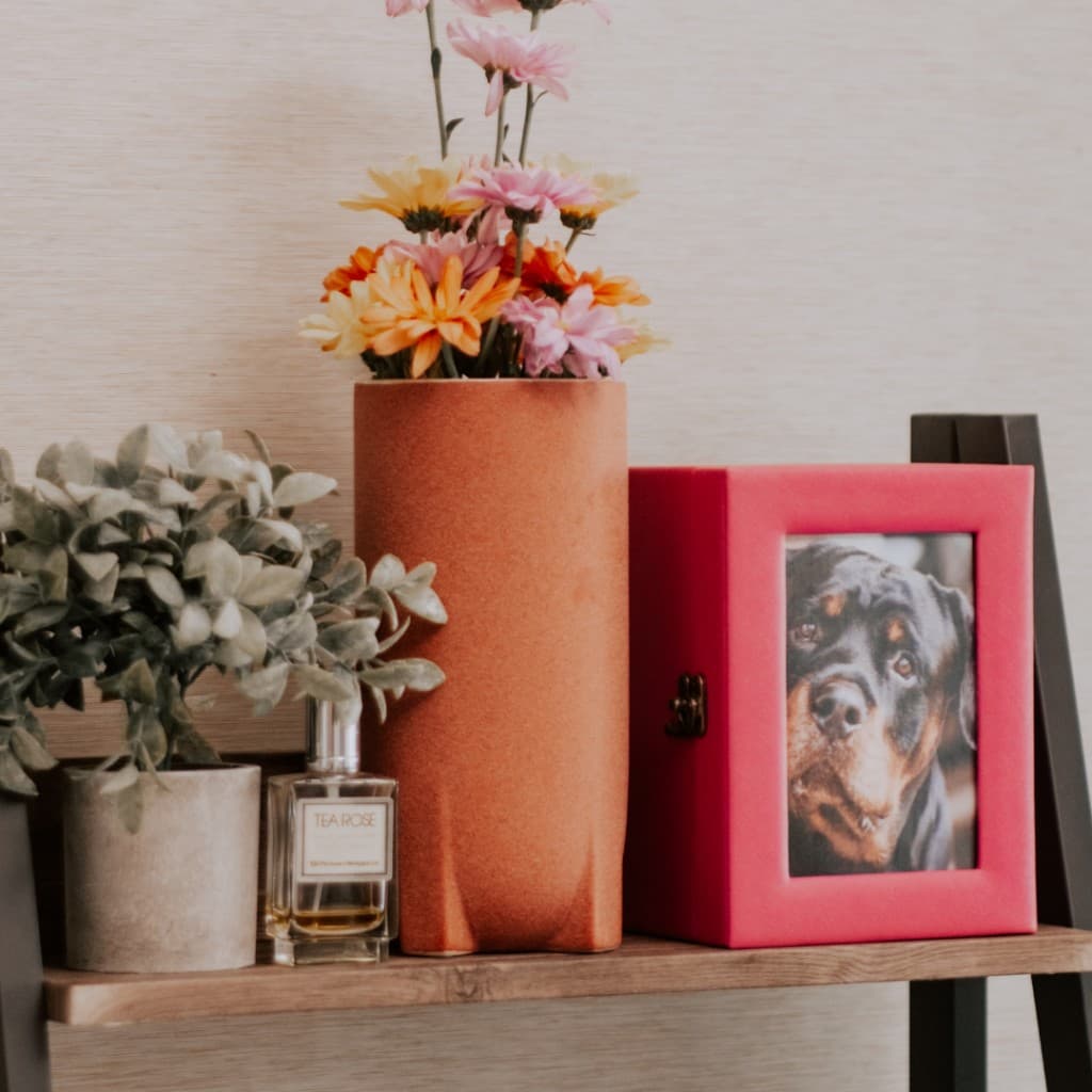 Pet Cremation at Precious Paws Aftercare Services