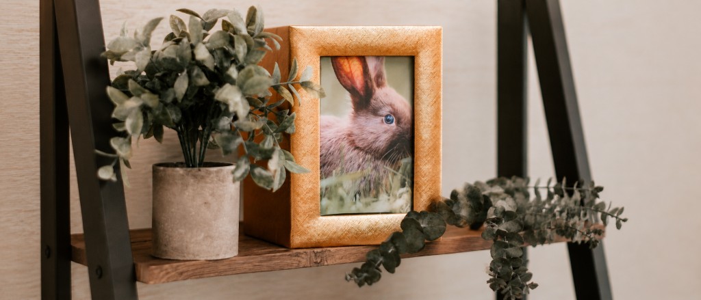 Gold photobox urn with a pet portrait — Precious Paws pet cremation memorial