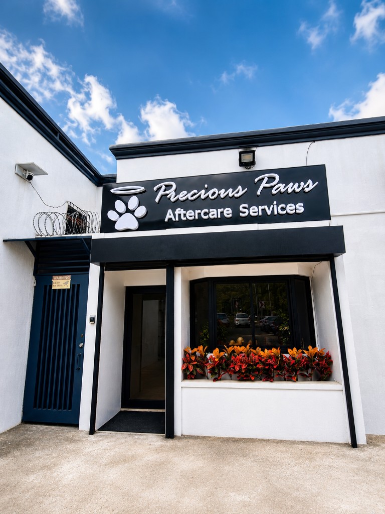 Precious Paws Las Piñas branch