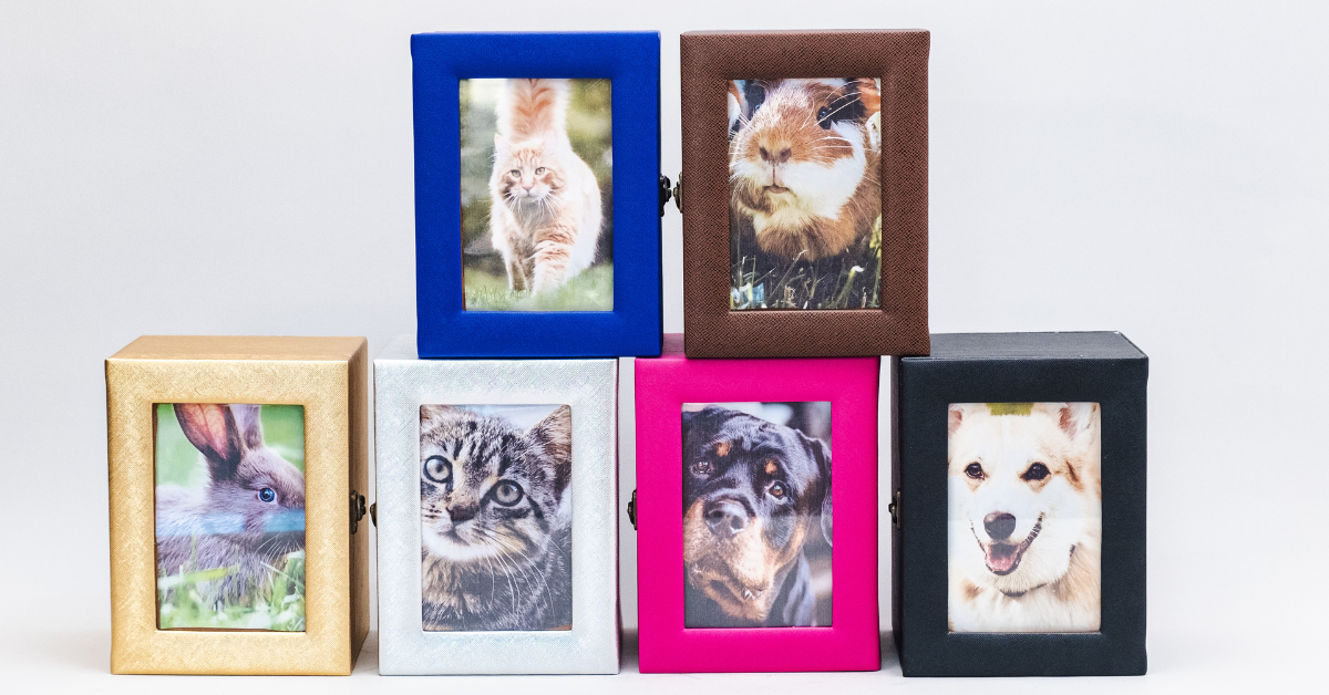 Photobox urns in gold, silver, magenta, black, blue, and brown